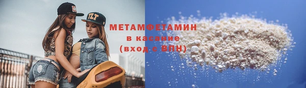 шишки Абаза