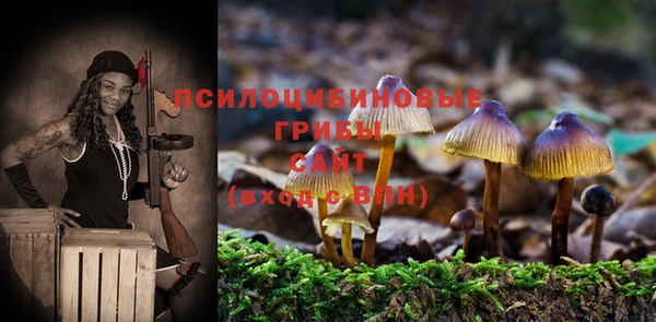 шишки Абаза