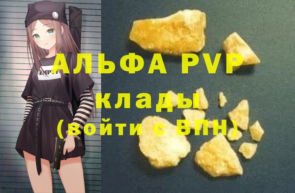 шишки Абаза