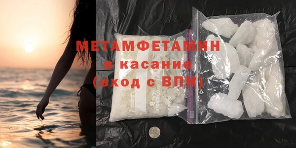 шишки Абаза