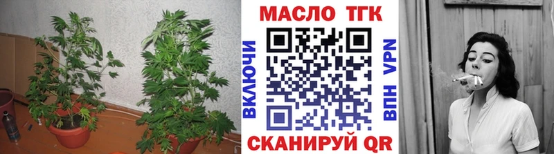 Дистиллят ТГК THC oil  где купить   Фурманов 