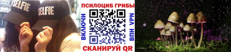 площадка телеграм  Фурманов  Псилоцибиновые грибы мицелий  дарнет шоп  гидра ТОР 