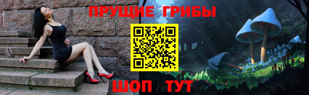 Фурманов  купить наркоту  Галлюциногенные грибы Psilocybine cubensis  Вход с VPN  Галлюциногенные грибы Cubensis 